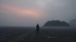 mas de fondo se camufla entre la nibla edited